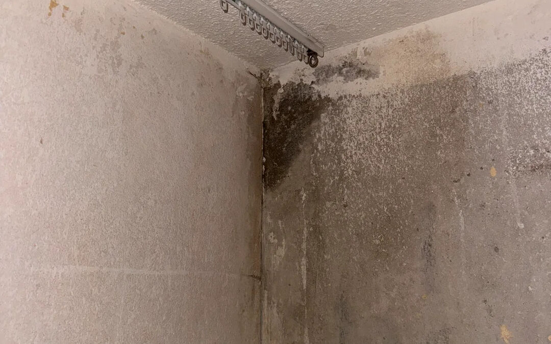 Mededelingsplicht en onderzoeksplicht bij de aankoop van een woning: wie is verantwoordelijk voor wat?